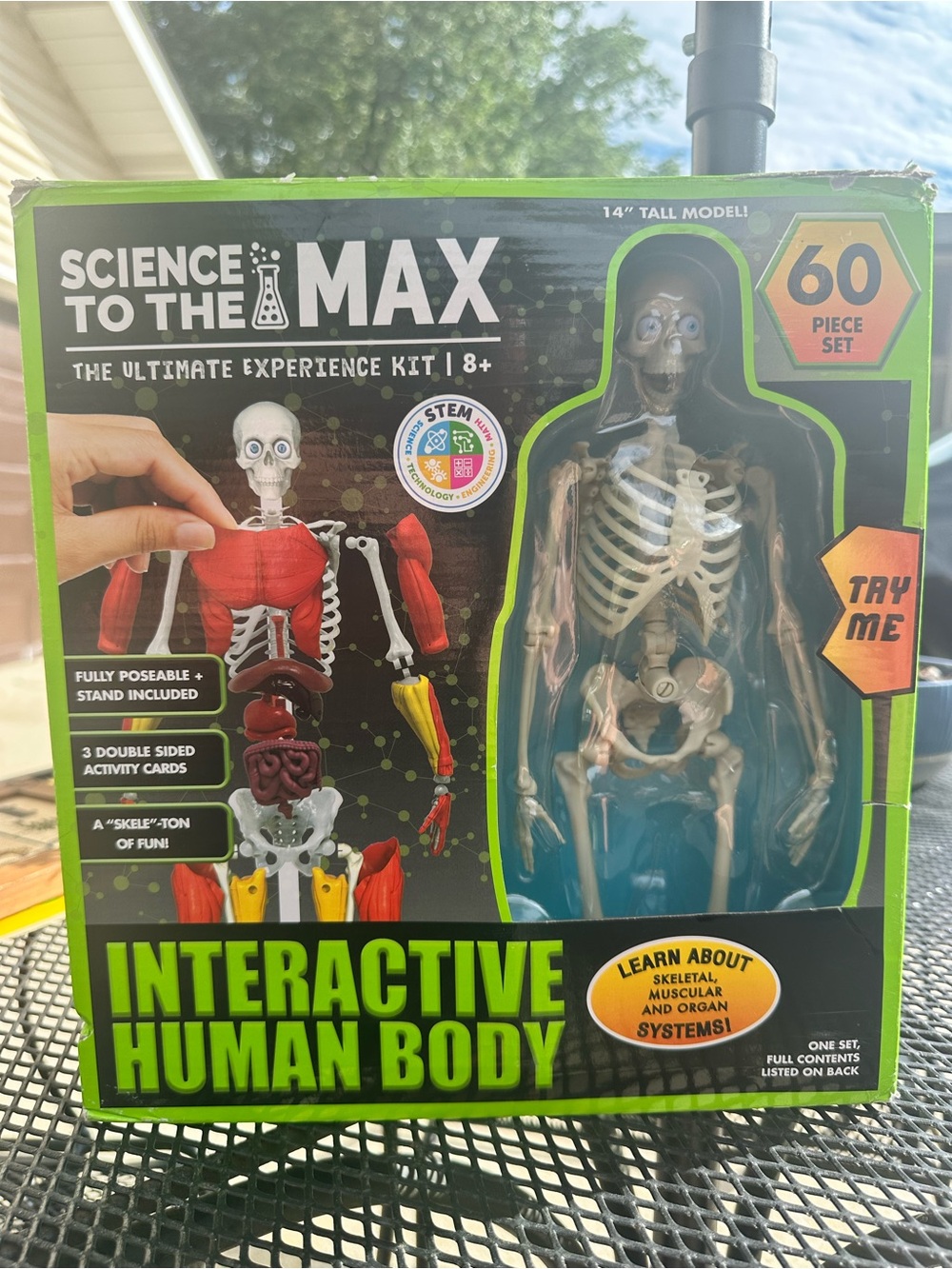 To the Max Interactive Human Body Toy - STEM learning tool/toy